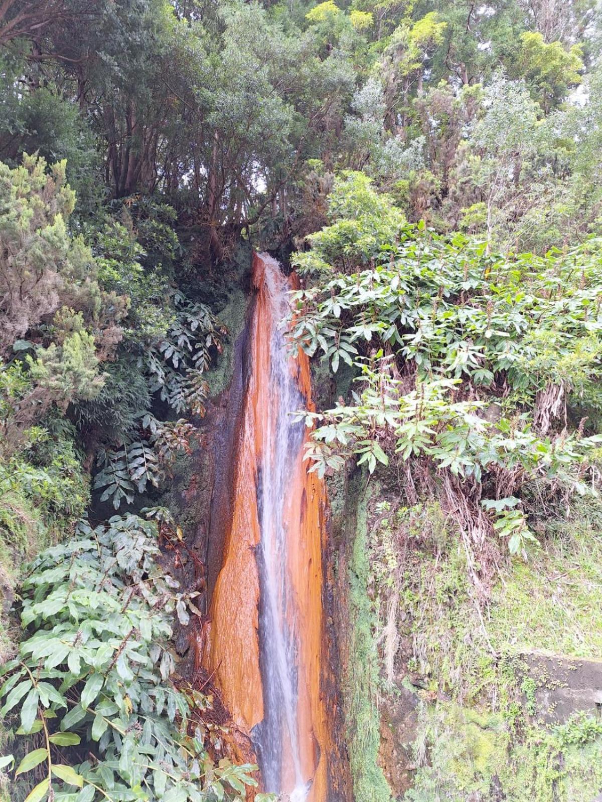 A Caminho Da Ilha Daire Ponta Delgada Dış mekan fotoğraf
